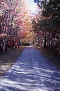 Hopkins Forest Carriage Road, Williamstown, MA.
