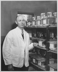 Harold Rauch
