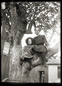Young woman and child in a tree (Greenwich, Mass.)