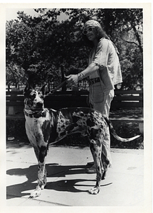 Man walking a dog in Boston Common