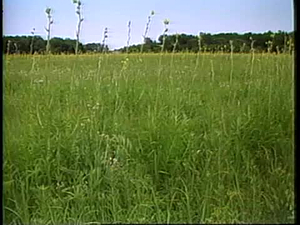 Land Between Two Rivers; Nishnabotna-Cycles of Time and Life