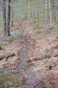 North Branch Birch Brook arm flowing down Birch Brook Trail.