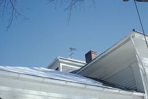 Carriage House southern facade of cupola and weather vane