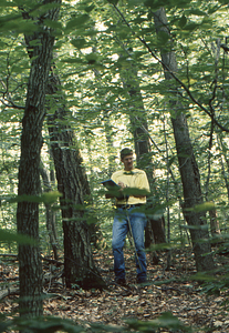 Henry W. Art recording tree census in Permanent Plot 1121.