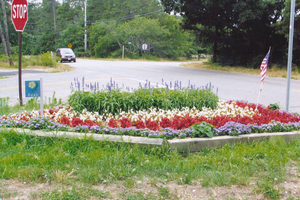 An Eastham Famous Flower Island