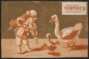 Trade card for Vegetine, the great blood purifier, H.R. Stevens, No. 464 Broadway, Boston, Mass., 1878