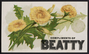 Trade card for the Beatty Organ, Daniel F. Beatty, Washington, New Jersey, undated