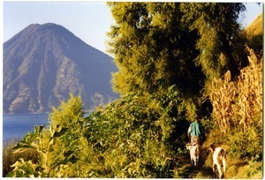 Man walking with goats on path, with Volcán de Atitlán in the distance