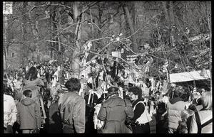 Large crowd gathered to greet the Iran hostages at Highland Falls, N.Y., with flags and yellow ribbons hung on trees