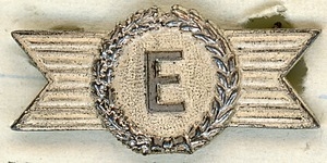 E award pin won by Roswell A. Calin for excellence in continuing the high standards in plant security in New England