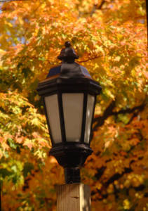 A Lamp Post on Campus at Springfield College