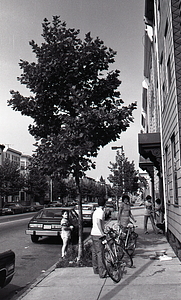 East Boston street view