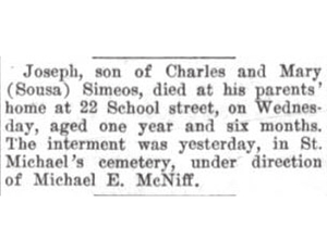 Death of Joseph Simeos - Hudson News-Enterprise article