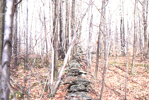 East boundary stone wall of the Moon Lot - Primmer Farm.