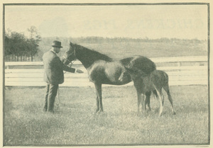 Booker T. Washington with horses