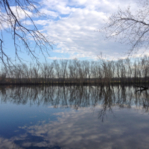 Mill River at Arcadia