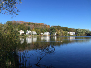 Chandler Pond