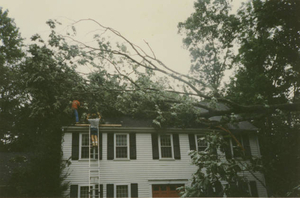 Tree falling on my house after Hurricane Bob 1991