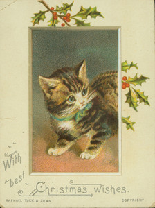 Christmas card, showing a kitten and holly, undated