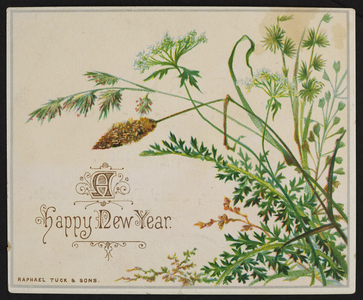 Trade card for M.E. Rice, dry and fancy goods, 222 Broadway Street, Chelsea, Mass., undated