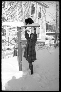 Woman in a heavy fur coat helping down a cat from on a post outside after a heavy snow