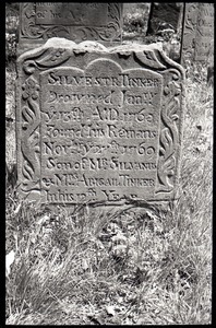 Gravestone of Silvester Tinker (1768), Old Cove Burying Ground