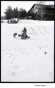 Party at Jackie Robinson's house: boys sledding while being chased by a dog