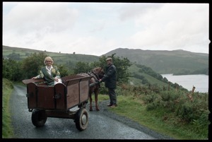 Margaret Heckler, United States Ambassador to Ireland, in a pony cart in the Wicklow Hills