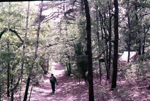 Student walking on path in woods at East Campus