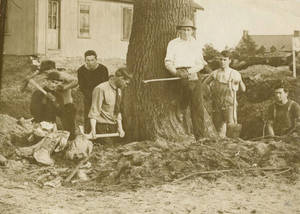 Student workers digging the ground around a tree