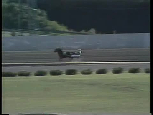 New Jersey Nightly News; New Jersey Nightly News Episode from 09/04/1978 7:30 pm