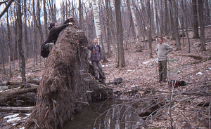 Impacts of 15 July 1995 storm in grid cell 0621. {Right to left:} Amy Smith (Class of 1997) (climbing on wind-thrown red maple root plate), Dawn Biehler (Class of 1997) and Ben Montgomery (Class of 1998).