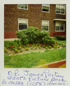 JXP garden on 1154 Harrison Avenue