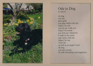 Ode to dog by Jack Hansler, age 8