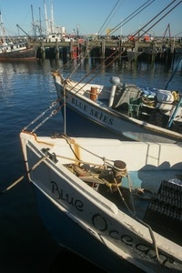 Fishing boats (Blue Skies and BLue Ocean) moored in the harbor under blue skies, Provincetown