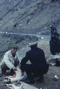 Skinning sheep after the sacrifice on the Georgian Military Highway