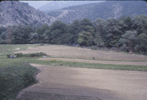 Cultivated fields by river