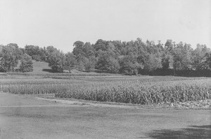 Campus Views, Fields and Gardens