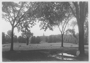 Campus Views, Fields and Gardens