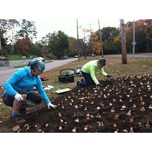 Two volunteers finish planting final bulbs