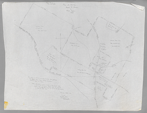 Hopkins land survey