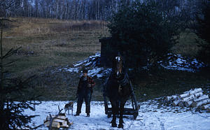 Lovell Primmer, Horse, and dog at woodpile.