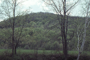 Close up of Hazen's Line - Massachusetts (left side) - Vermont (right side) state line at Hoosic River.