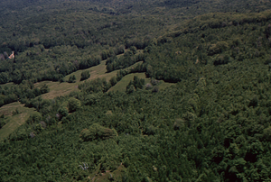 Aerial oblique view southeast corner of Whitman property on 28 May 1972 in the Hopkins Forest.