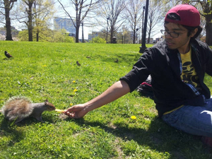 Hanging out on Boston Common with the squirrel