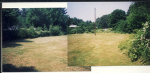 One-acre backyard