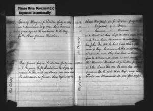 Tewksbury Almshouse Intake Record: Lee, James