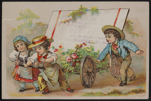 Trade card for Robinson Bros., wholesale and retail pictures, mouldings, No. 182 Springfield, Mass., undated