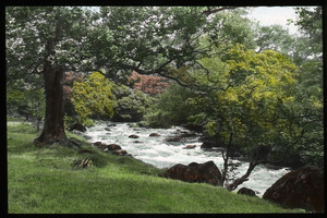 River Rothay, near Ambleside, Eng.