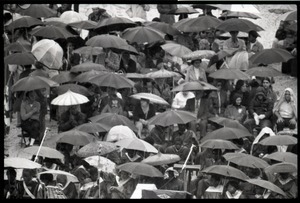 Sea of umbrellas awaiting the arrival of Gerald Ford to dedicate the Old Great Falls Historic District as a national historic landmark